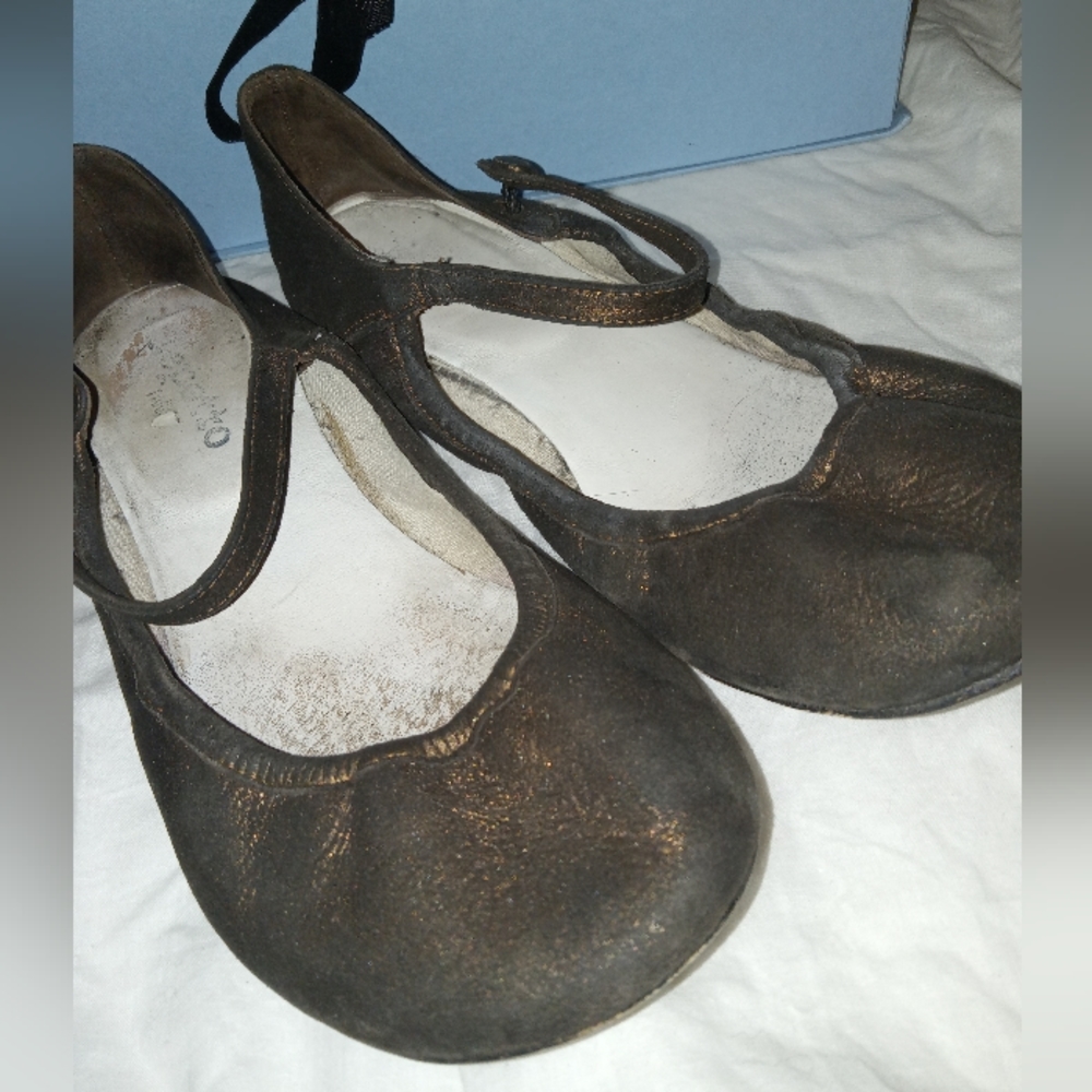 REPETTO Paris metallic ballet us 9 box not included